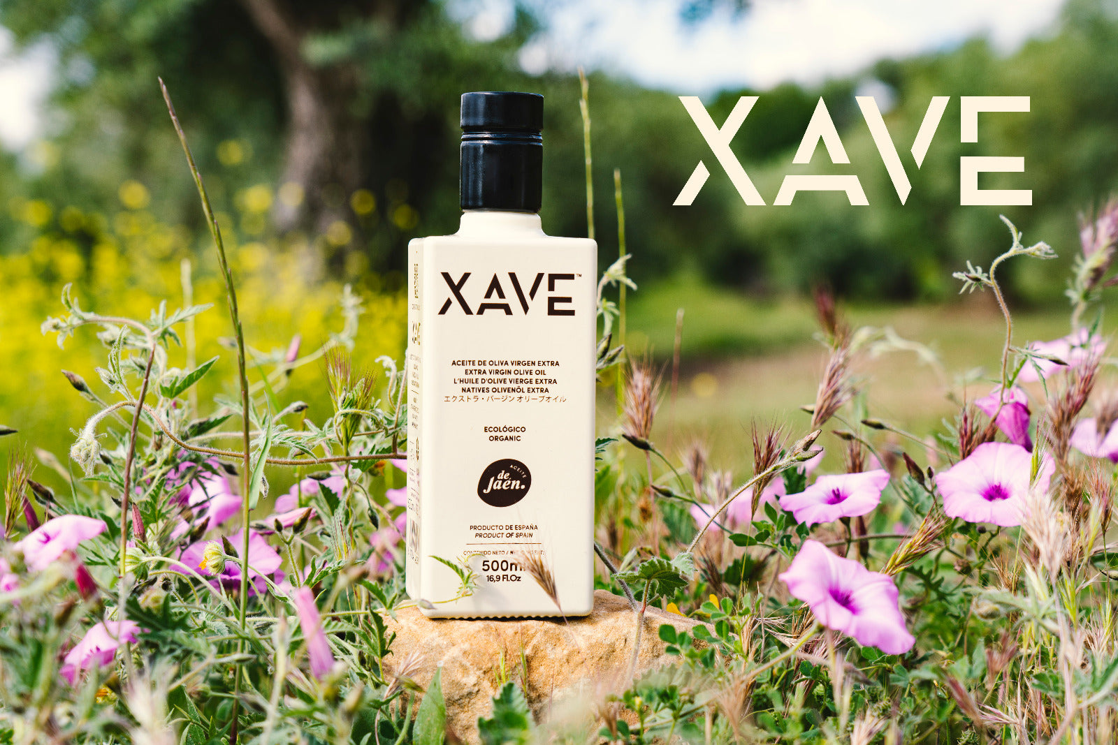 Ekologiškas ypač tyras alyvuogių aliejus XAVE ECOLOGICO, pagamintas iš 100 % Picual veislės alyvuogių.